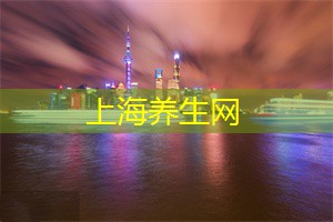 在大兴国际机场与上海的连结