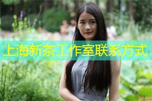 上海女北京男异地恋