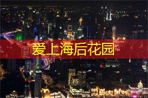 爱上海：位于东方明珠的繁华都市