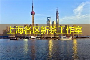 独宠上海相亲圈，秒变撩妹高手！