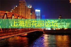 爱上海龙凤419：上海后花园：探索大都市中的自然奥秘，感受生活的无限可能