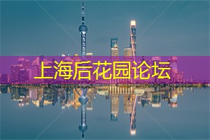 上海品茶网：流言